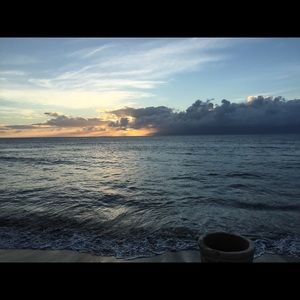 Meet your Posher, Lexee